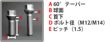 �{���g�T�C�Y�E�`��ɂ���