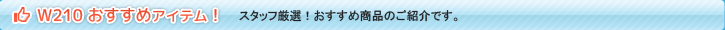 スリーポイントW210おすすめアイテム！