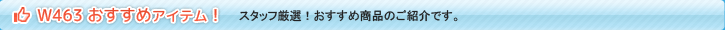 スリーポイント W463 ゲレンデ用おすすめアイテム！