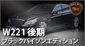 WALD W221後期 スポーツライン ブラックバイソンエディション