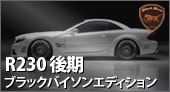 WALD R230ブラックバイソン 後期